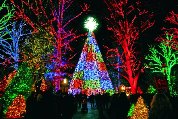 Silver Dollar City Christmas Tree Lit Up At Night