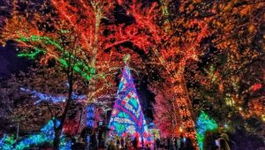 Christmas celebration with lit up tree in Branson Missouri